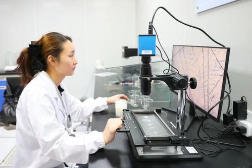 最美生產(chǎn)線 走進(jìn)中紡聯(lián)檢上海，探索檢驗(yàn)技術(shù)服務(wù)的卓越之旅